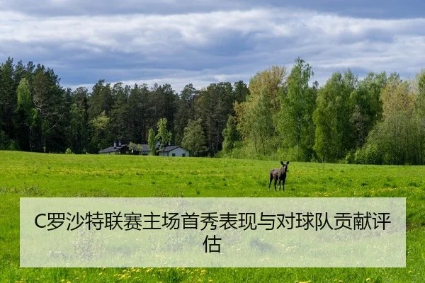 luo-sha-te-lian-sai-zhu-chang-shou-xiu-biao-xian-yu-dui-qiu-dui-gong-xian-ping-gu-2-636.jpg